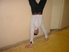 DSC00055.JPG